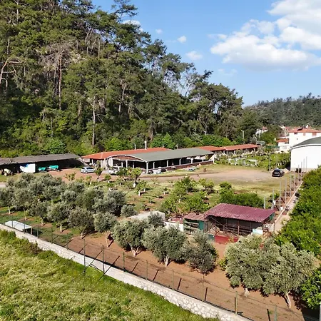 Doga Ciftlik 3* 马尔马里斯