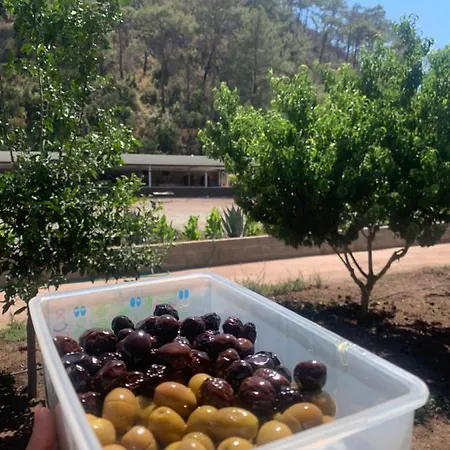 Doga Ciftlik アパートホテル マルマリス