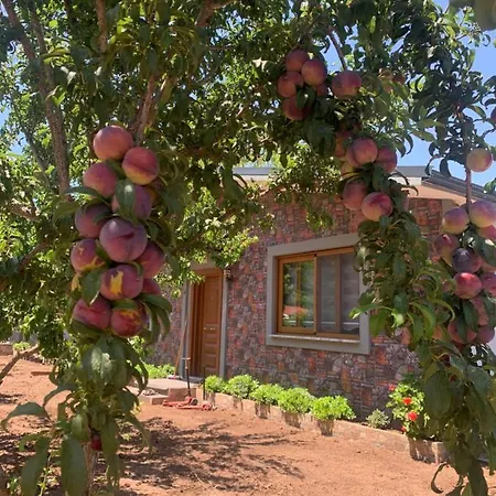 アパートホテル Doga Ciftlik