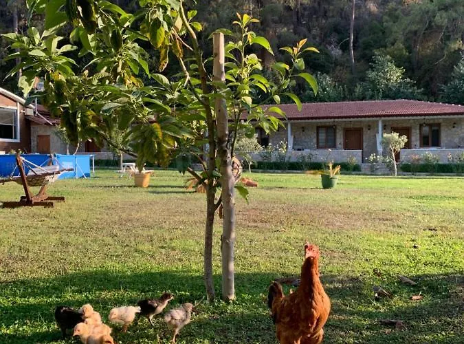 Doga Ciftlik Aparthotel 3*