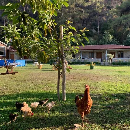 Doga Ciftlik Aparthotel 3*