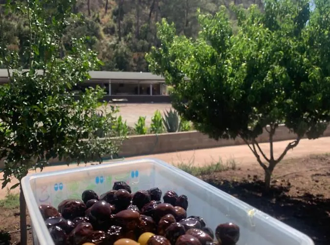 Doga Ciftlik Apart Otel Marmaris