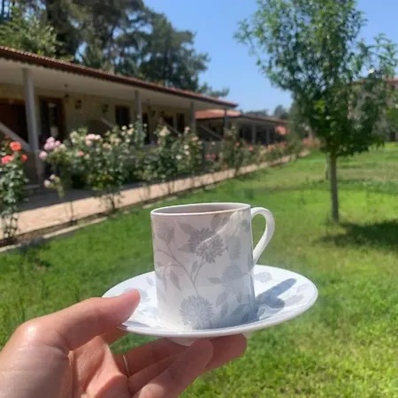 Apartahotel Doga Ciftlik