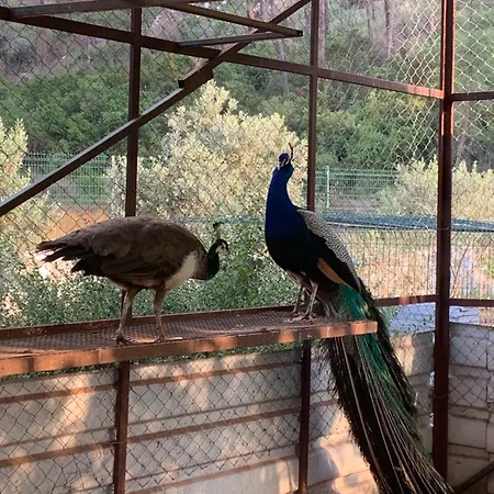 Doga Ciftlik Marmaris