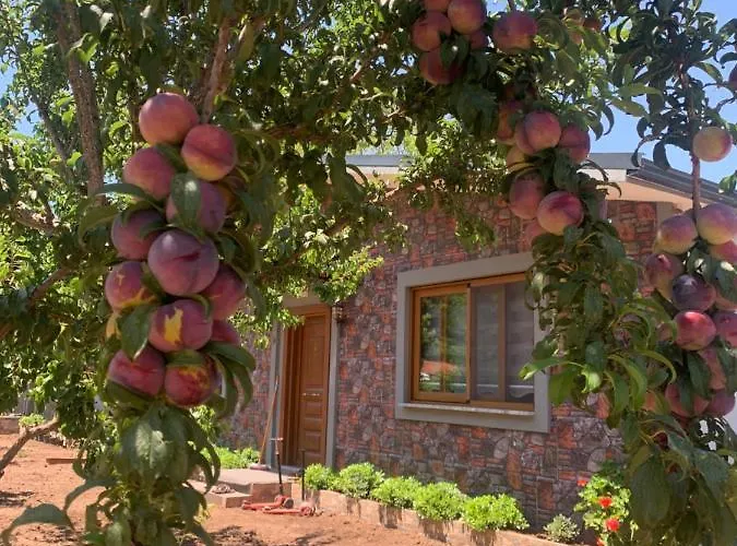 Ξενοδοχείο με διαμερίσματα Doga Ciftlik