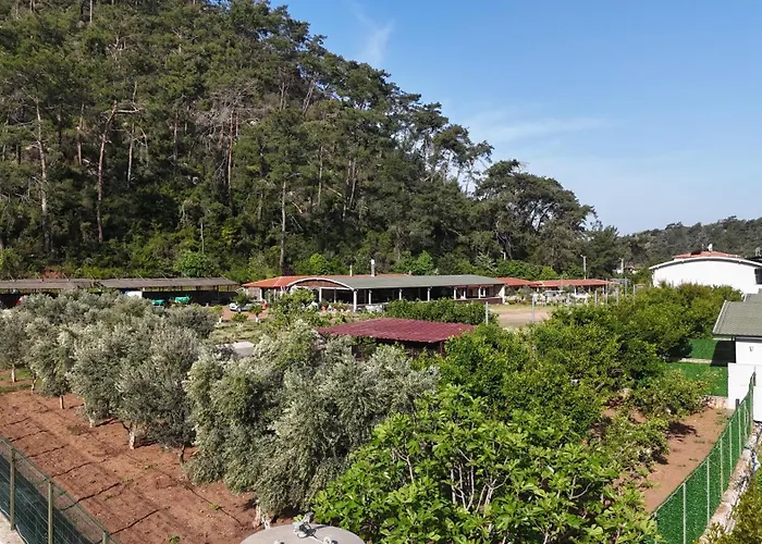 Apartmanhotel Doga Ciftlik 3*